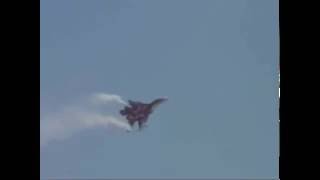 : MIG 29 Pugachev's Cobra