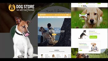 Haustiere - Pets Store RTL WooCommerce WordPress Theme | Themeforest Website Templates and Themes