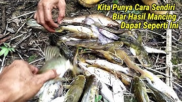 Mancing Ikan Baung cuma pakai Umpan Cacing tanah|Hasil Nya Melimpah!