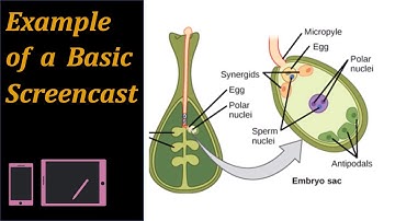 Example of a Basic Screencast Teaching Video