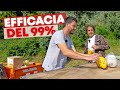 TRAPPOLA per MOSCA dell'OLIVO