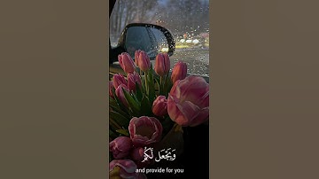فقلت استغفروا ربكم انه كان غفارا | سورة نوح | ماهر المعيقلي#quran #المصحف #ماهر_المعيقلي #قران_كريم