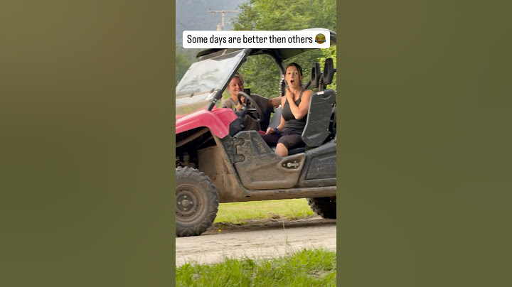 Some days are simply better than others…don’t ask 😳 #shorts #dog #viral