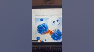 i’m not talking about chat gpt 🤢 #phd #phdstudent #studytips #research #researcher