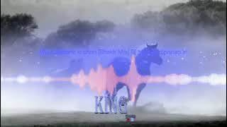 Main barsane ki chhori song DJ remix