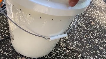 5 minute honey bee vacuum.  WORKS GREAT