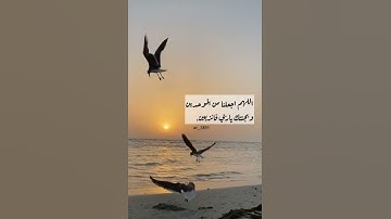 قران كريم |حالات واتس اب |سورة الكافرون