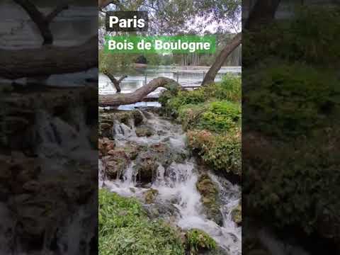 Видео: Парисын ойролцоох Bois de Boulogne цэцэрлэгт хүрээлэнгийн бүрэн гарын авлага