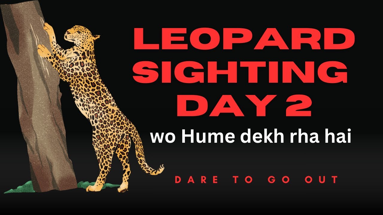 Tried our luck // day 2 // leopard sighting 