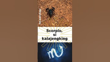 Scorpio:Sang Misterius yang Intens #zodiak #scorpio