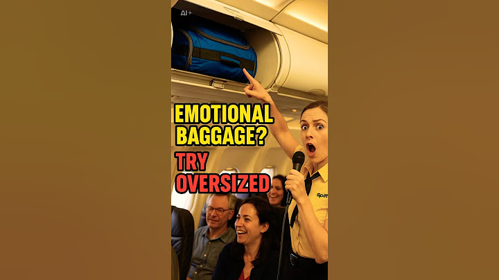 “This Spirit Attendant Just Roasted Everyone’s Overhead Baggage”