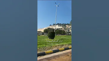 شو رأيك اغاني 