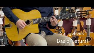 Stringphonic Basic Natural     [LASTGUITAR]