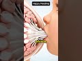 Cómo se produce la leche materna de forma natural 🤱, el proceso hormonal de la lactancia materna