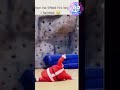Real vs AI! Can You Tell the Difference?