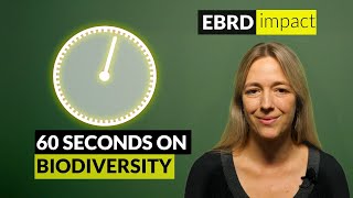 What is biodiversity?