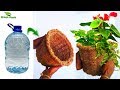 DIY Basket Planter Using Plastic Bottle | DIY Hanging Planter | Plastic Bottle Ideas//GREEN PLANTS