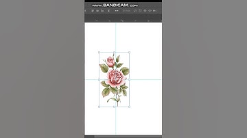 How to draw vector flora flowers in adobe photoshop for pattern design #vectorart #vector #floraart