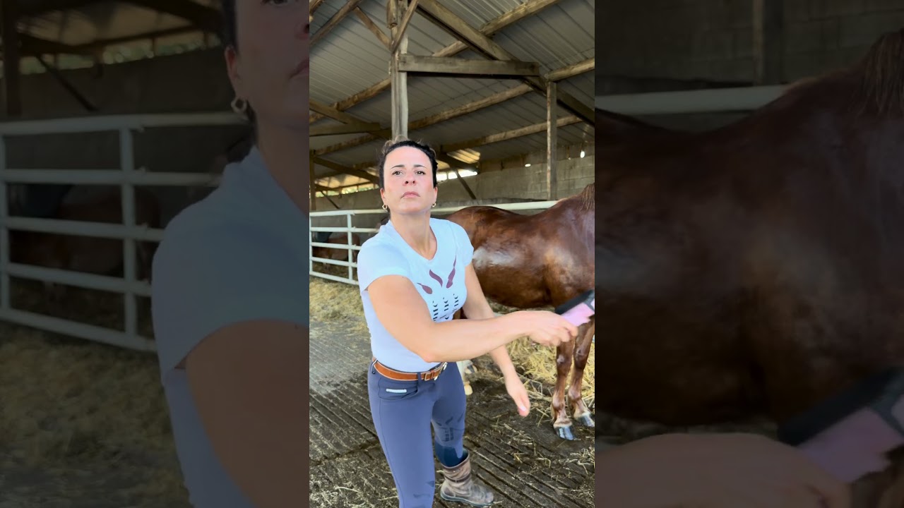 Vérité absolue #1 : Les Coachs ont des yeux partout 👀😂#equitation #humour #cheval #equestrian
