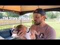 The story of jack