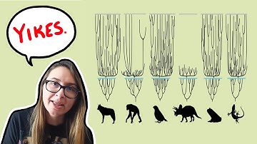 The Many PROBLEMS with "Created Kinds" | Debunking Young Earth Creationism