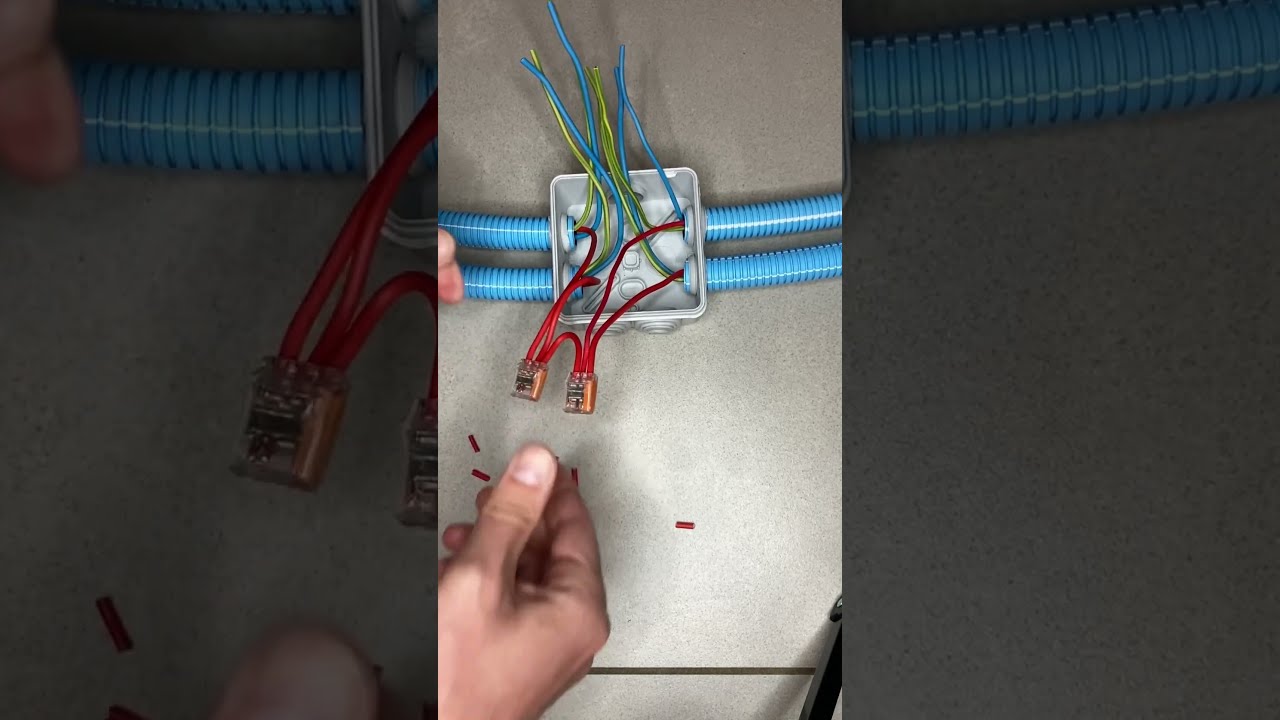Erreur De D Butant En Lectricit Connexion Avec Wago Dans Bo Te Rivation 