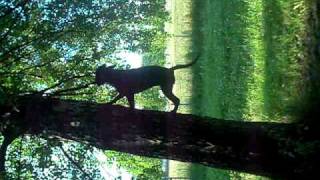 DSCF2414.AVI