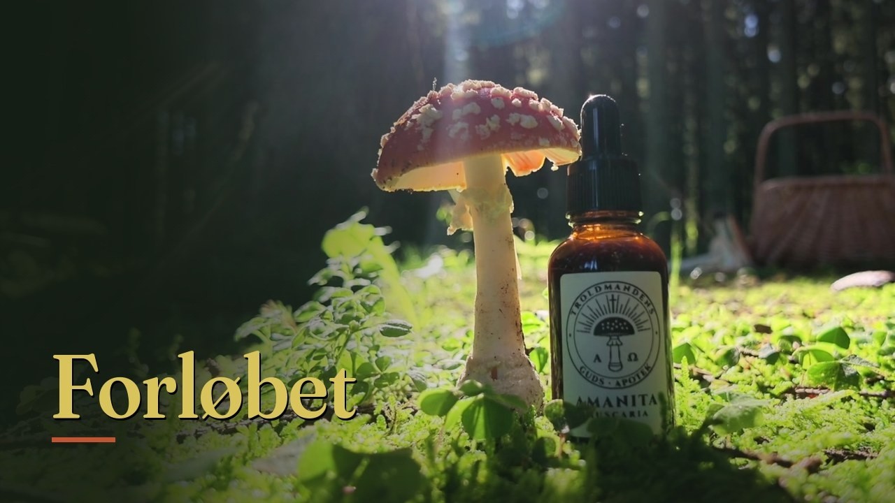 Lektion 3: Forløbet