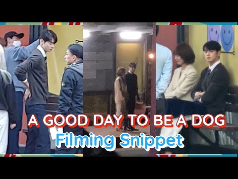 Leaked video of Cha Eun-woo and Park Gyu-young in 'A Good Day To