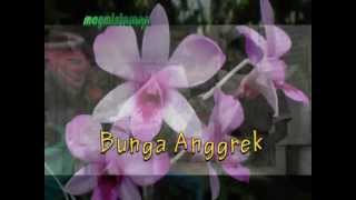 BOENGA ANGGREK. Ismail Marzuki