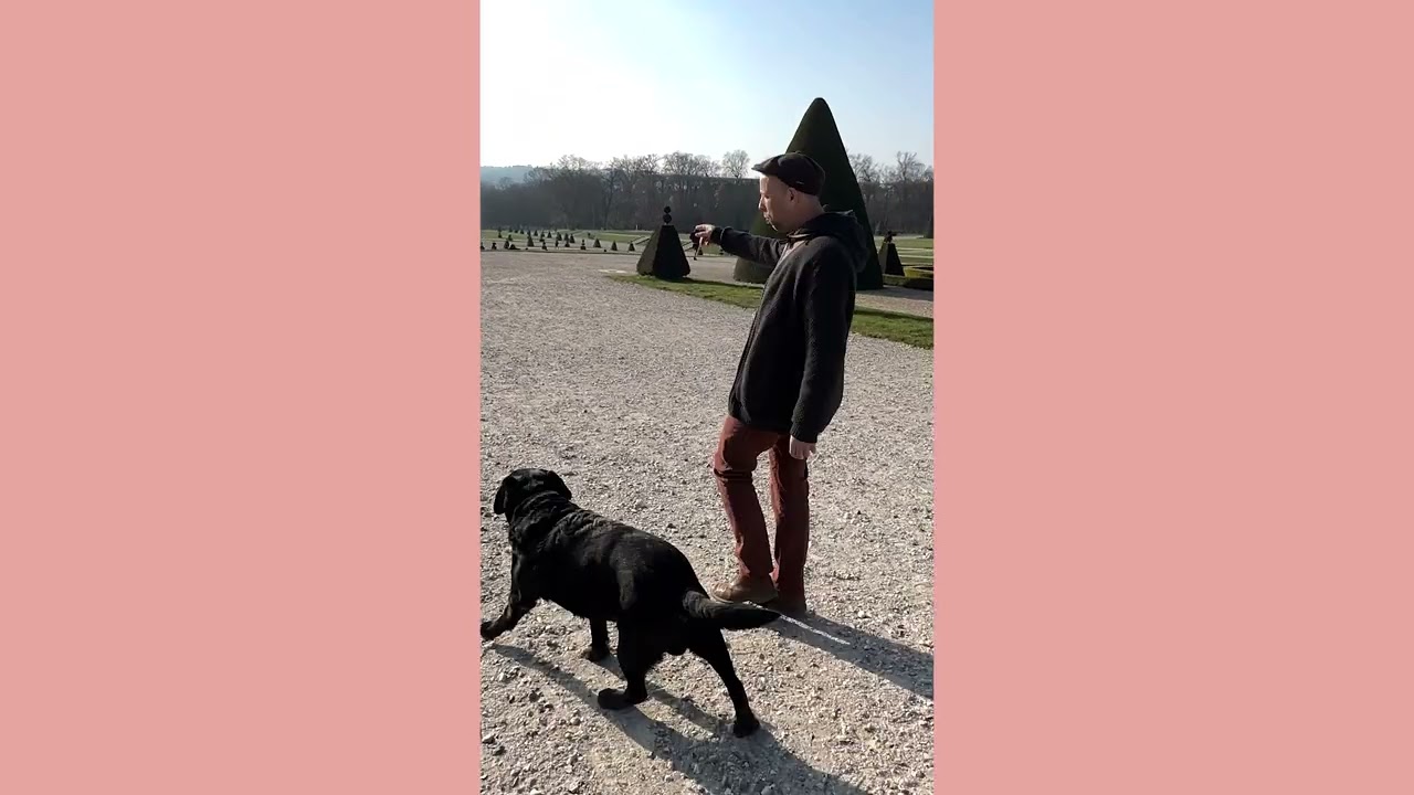 MARLY & DAN DENTAL M - HUND