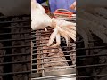 Grilled Fresh Squid at Taipei Night Market 🦑 Sea to grill — and into your hands in minutes! #taiwan