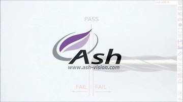 Omni Digital Microscope - On Screen Graticule