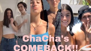 Charlie Damelio and Chase Hudson TikTok Compilation The comeback!!| ChaCha is real