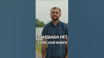 Можно ли срывать ландыши на природе? #shorts