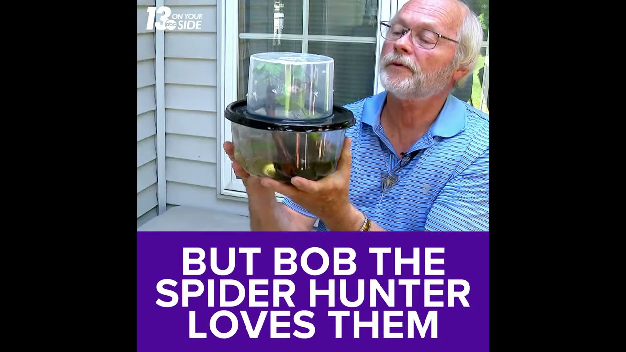 OUR MICHIGAN LIFE: BOB THE SPIDER HUNTER