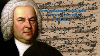 Freu dich sehr, o meine Seele.  Coral nº 63 (BWV 194 - 6) - J. S. Bach