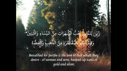 تلاوة من سورة آل عمران للقارئ عبدالرحمن زيدان