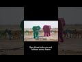 Meta SAM 3 Explained: AI Just Broke Reality (Single Image to 3D)
