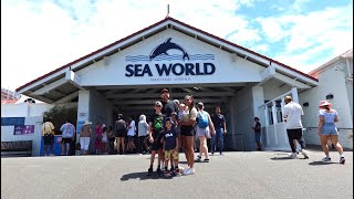 SEA WORLD | GOLD COAST HOLIDAY VLOG!