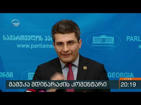 \"ევროპული საქართველოს\" მიერ გავრცელებულ განცხადებას მამუკა მდინარაძე ეხმაურება