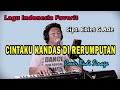 Ebiet G Ade - Cintaku Kandas Direrumputan | Cover Budi Sinaga