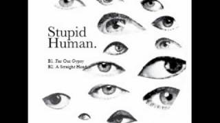 Stupid Human - Far Out Gypsy (Gipsy) chords