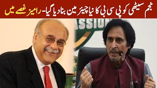 Najam Sethi PCB New Chairman | Latest Sports News #azaports #pcb