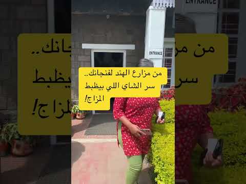 من مزارع الهند لفنجانك سر الشاي اللي بيظبط المزاج