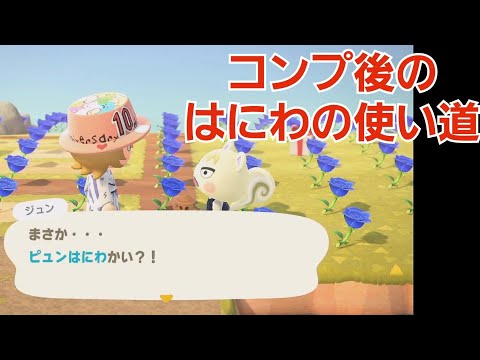 【あつ森】住民も喜ぶ はにわの新しい使い道