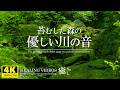 【癒し・自然音】苔むした森の優しい川の音／大自然の中に流れる柔らかい小川の音が心地よく眠気を誘います。「4K風景映像・実写」@nagomi935