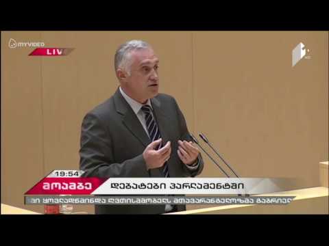 ზვიად ძიძიგურის გამოსვლა პლენარულ სხდომაზე