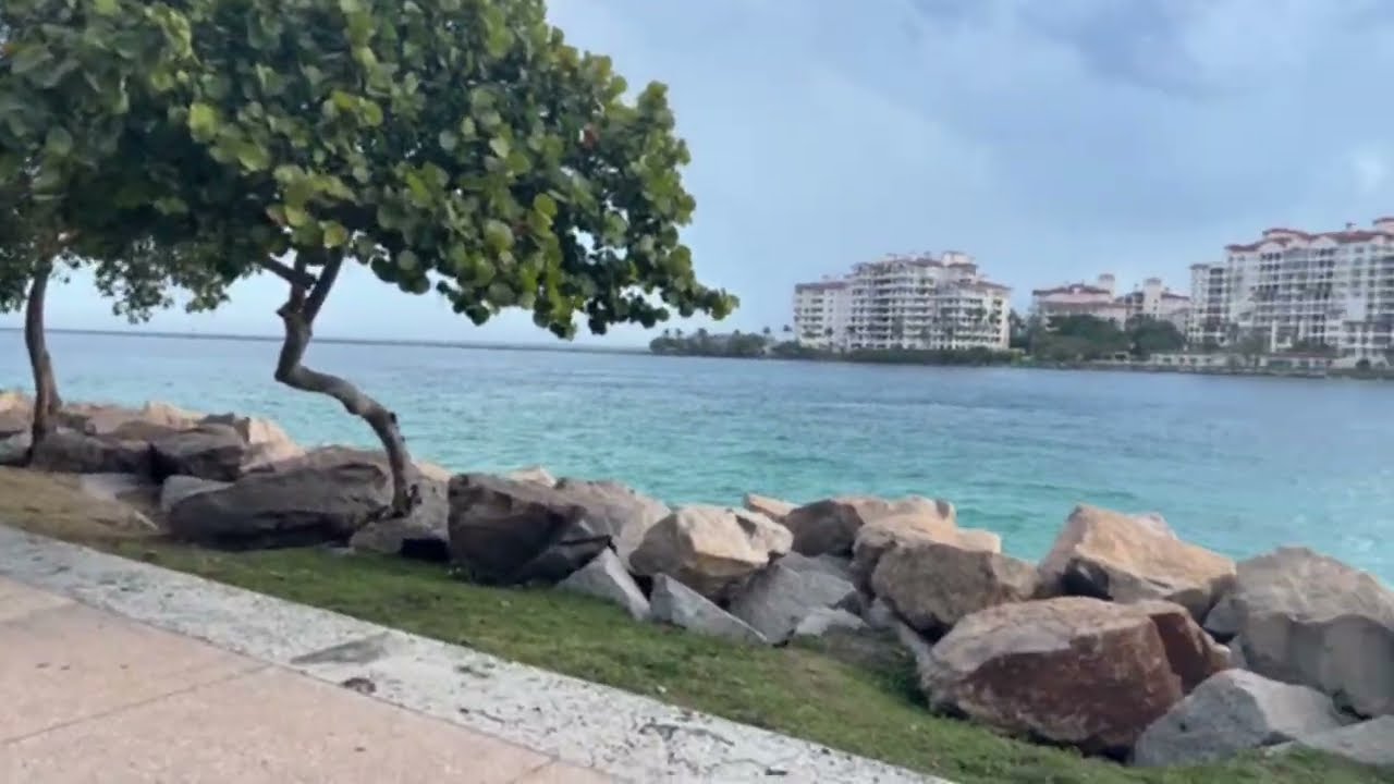 Havana Havanna Vlogs está en vivo