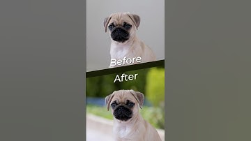 Photoshop Generative AI - How to Change Backgrounds #photoshoptutorial #photoshopai #generativeai